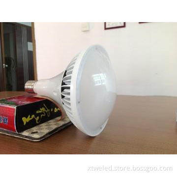 Mercury Lamp LED High Lumen Lighting